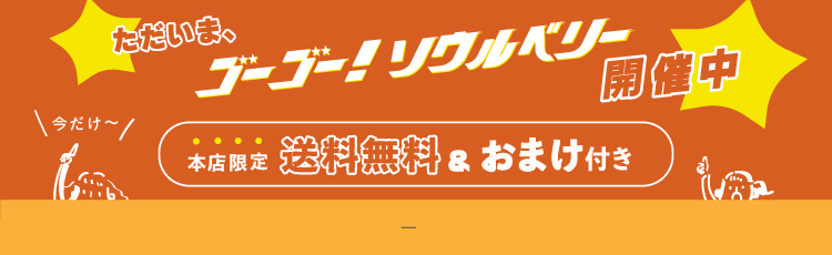 はみ出すためのリネンの羽織り | soulberry