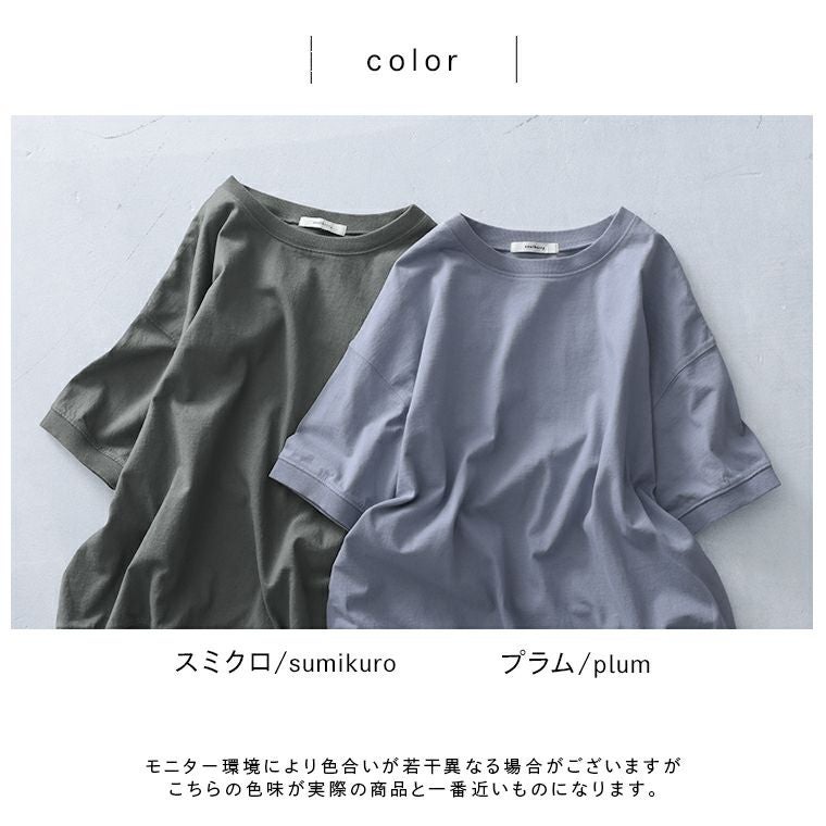ツバメガレージイチモク！な、無地Tシャツ | soulberry