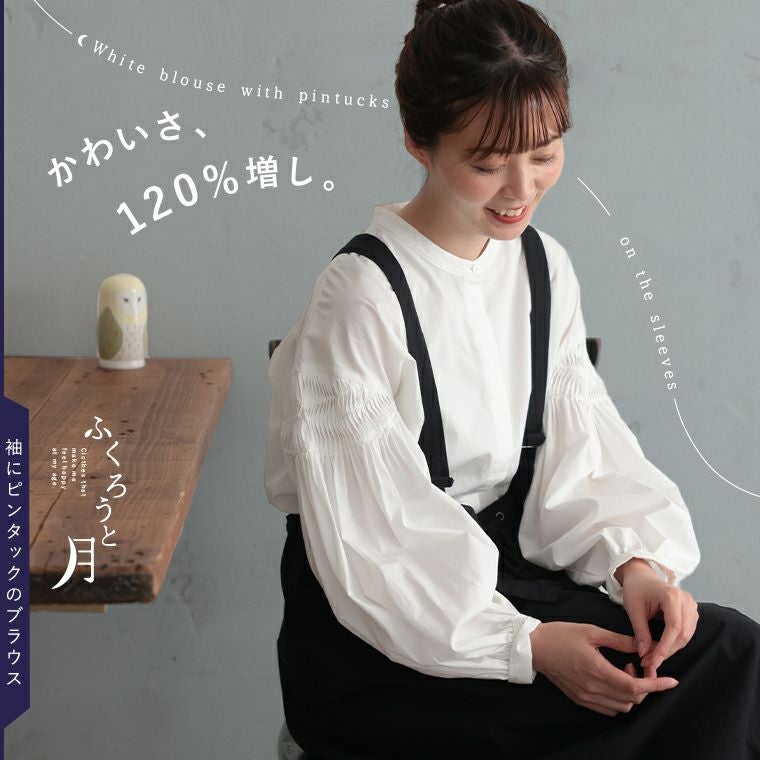 ふくろうと月袖にピンタックのブラウス | soulberry
